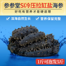 S̨úl䉺}ɵɴB؛500g