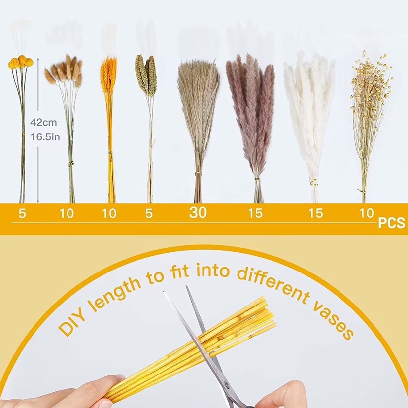 박스형 100PC 럭셔리 세트