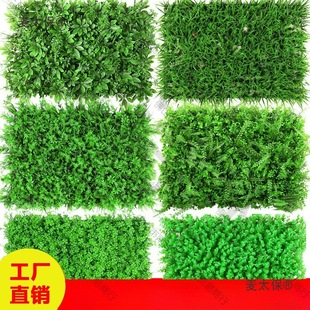 ��������ֲ��ٲ�Ƥ�����������m�����ϾGֲ���T�^�b���̫��