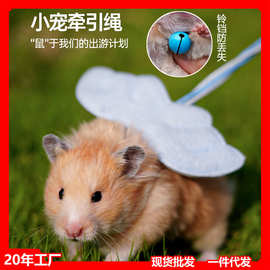 溜仓鼠牵引绳松鼠金丝熊外出龙猫背心式豚鼠花枝鼠小宠物天使绳子