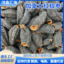 非即食淡干海参刺参散装礼盒厂家定制北极加拿大红极参干货参皮