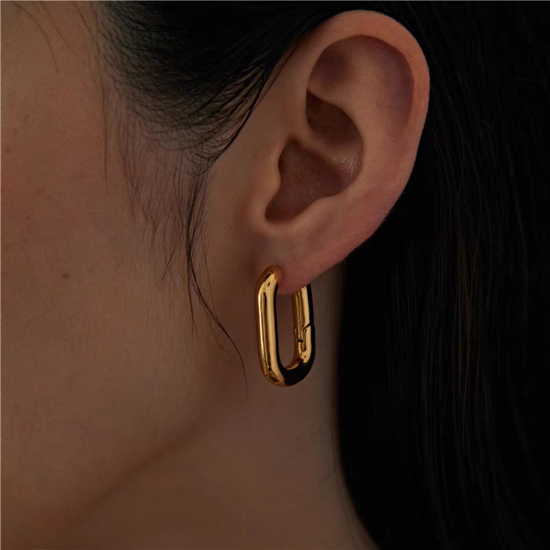 Holiday, Daily Occasion 304 Stainless Steel Material 1 Pair Simple Style Classic Style Solid Color Plating Titanium Steel Earrings
