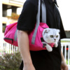 Pet out -of -border cat bag double -layer lining multi -purpose portable portable portable anti -grip anti -bite hand -shoulder pet bag