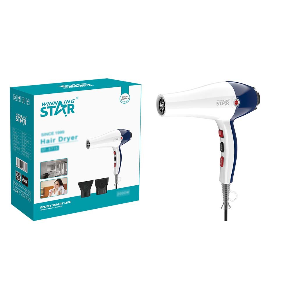 Winning Star Cross-border 220V estándar europeo estándar británico de secado rápido de alta potencia de dos velocidades con secador de pelo de energía eólica fría y caliente ligero