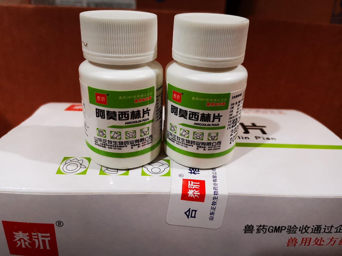 阿莫西林片1.jpg