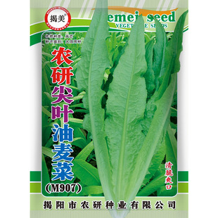 �������~������ ������������� ���˷N�� ���l ԭ�S���b10��