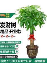 �����B��lؔ�����������ռ�ȩ�͏d�����԰lؔ��ΗU�����՚�