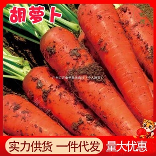 ���}��10������ɳ���}�����r�߲˴���ˬ�ڎ������l�r�ҬF�ں��}��