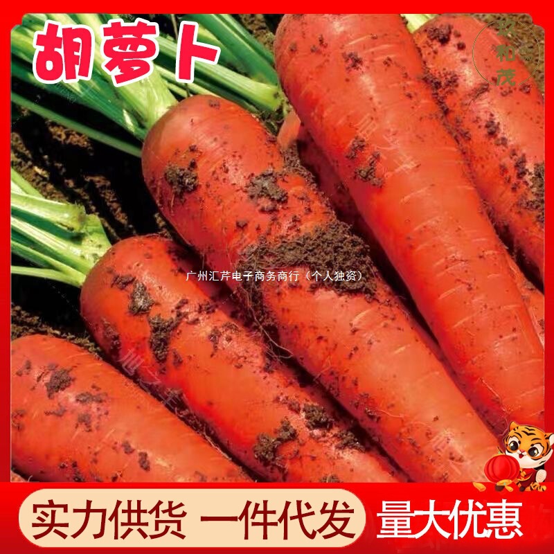 Carrots 5kg Whole Box of Sandy Carrots Fresh Vegetables Crispy Sweet Refreshing with Mud Wholesale Farm Freshly Dug Carrots