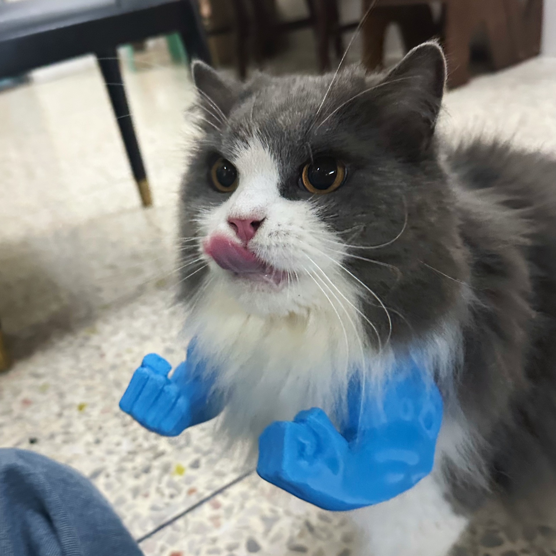 微信图片_20250524200448