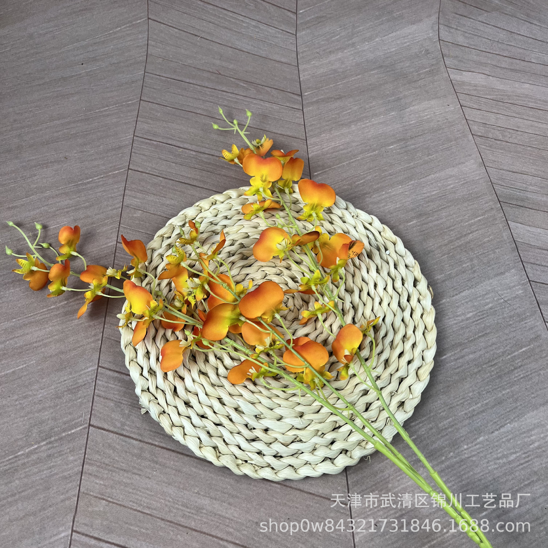 춤 난초 일몰 색상