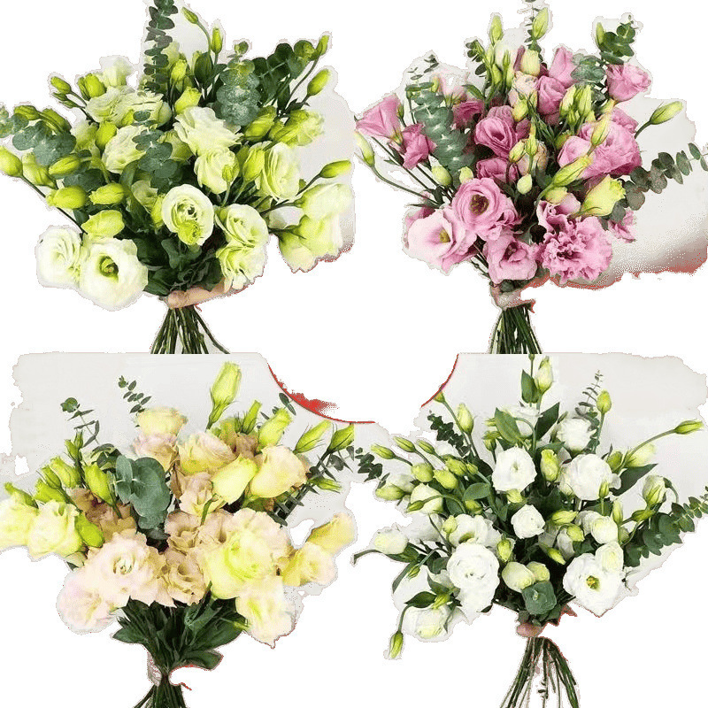 レアカラーのエリュケンバの花、新鮮なミックス、屋内水耕栽培、家庭用フラワーアレンジメント、オフィス、雲南基地直送|undefined