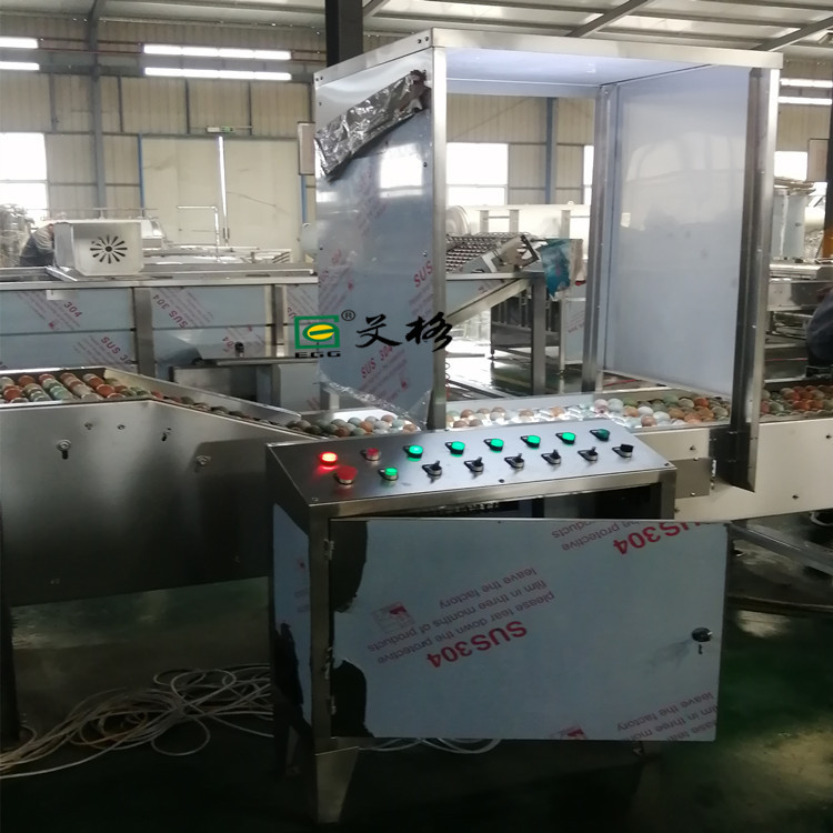 山东大型全自动鸡鸭蛋清洗分级杀菌流水线设备厂家  鸡鸭蛋清洗机