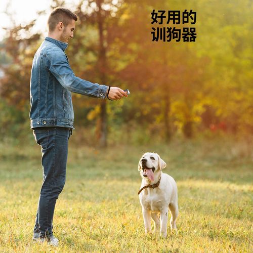Amazon Ultrasonic Dog Repeller High Power Handheld Dog Deterrent Anti-Barking Pet Supplies Wholesale