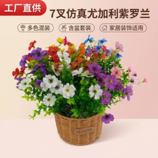 �羳7���ȼ������_�m������������Y�Ҿӑ���[�O�zӰ�»����b�