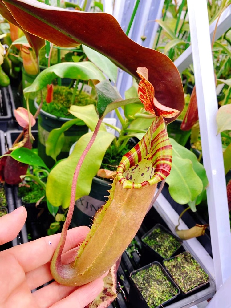 微信图片_20210520114053