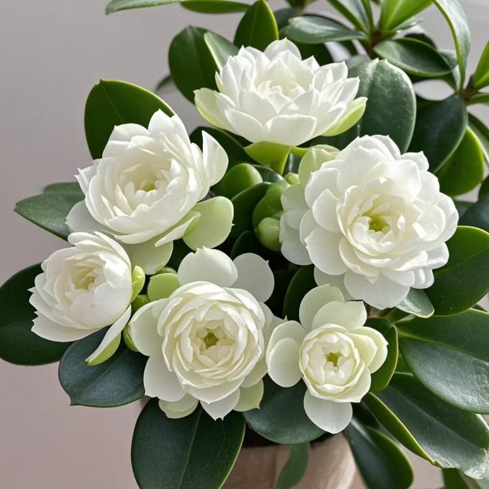 3b3ae911-2387-4d8e-acd6-731dfeed158a.jpe