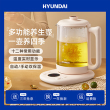 HYUNDAI家用小型养生壶多功能玻璃煮茶器办公室自动烧水壶茶壶