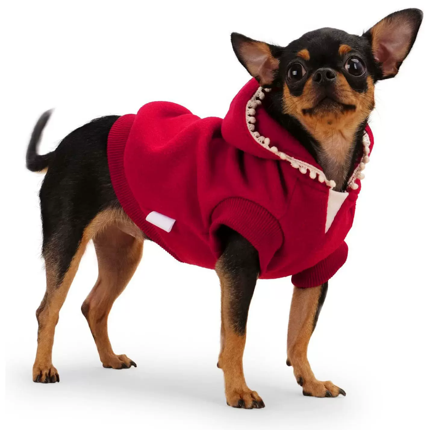 连帽宠物衣服春秋冬款格子狗狗带帽加厚宠物狗亚马逊服装加厚保暖