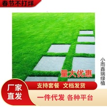 ��ƺ���ѷN���ļ�����G����̺�ݺ����ݸ���é�o�²�Ƥ�N�ӲݷN��