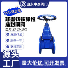 软密封暗杆闸阀Z45X-16Q球墨铸铁法兰弹性座封闸阀门弹性密封