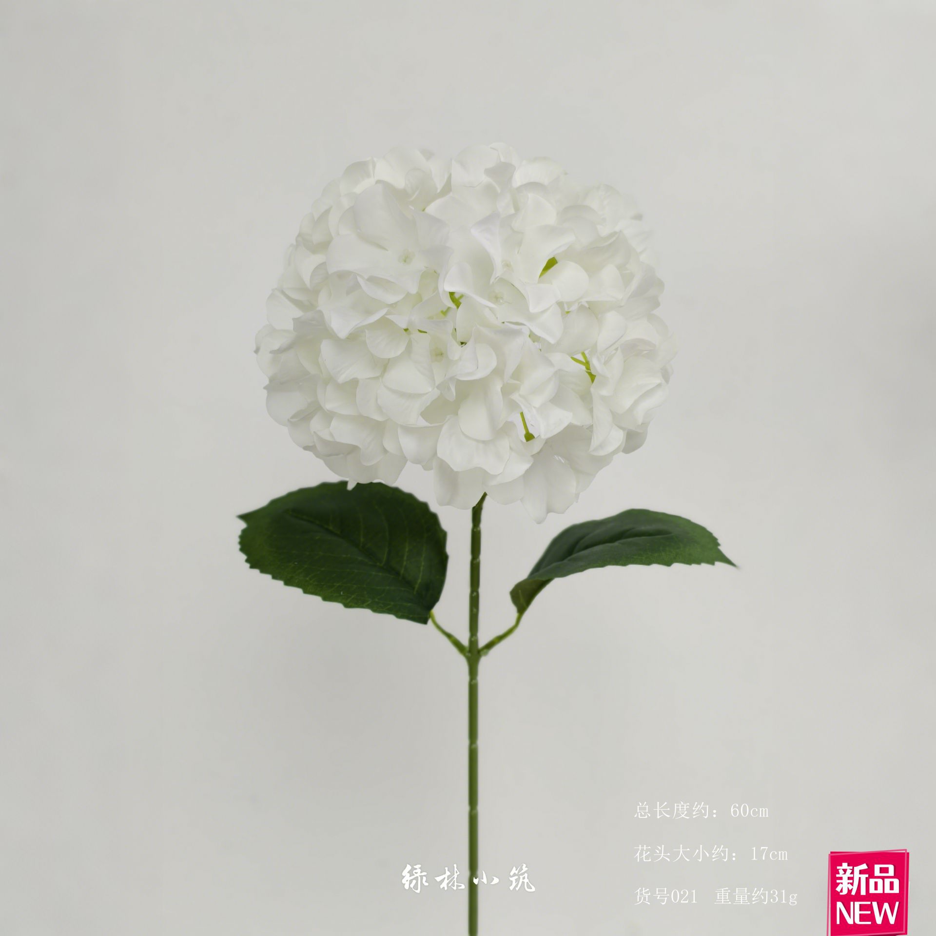 품목번호 021-큰 꽃잎 수국