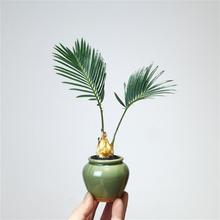 �F�䌚���K�F�辰���������k���ҕ�����X��ؐС�Gֲ��ꎺ��Bֲ��