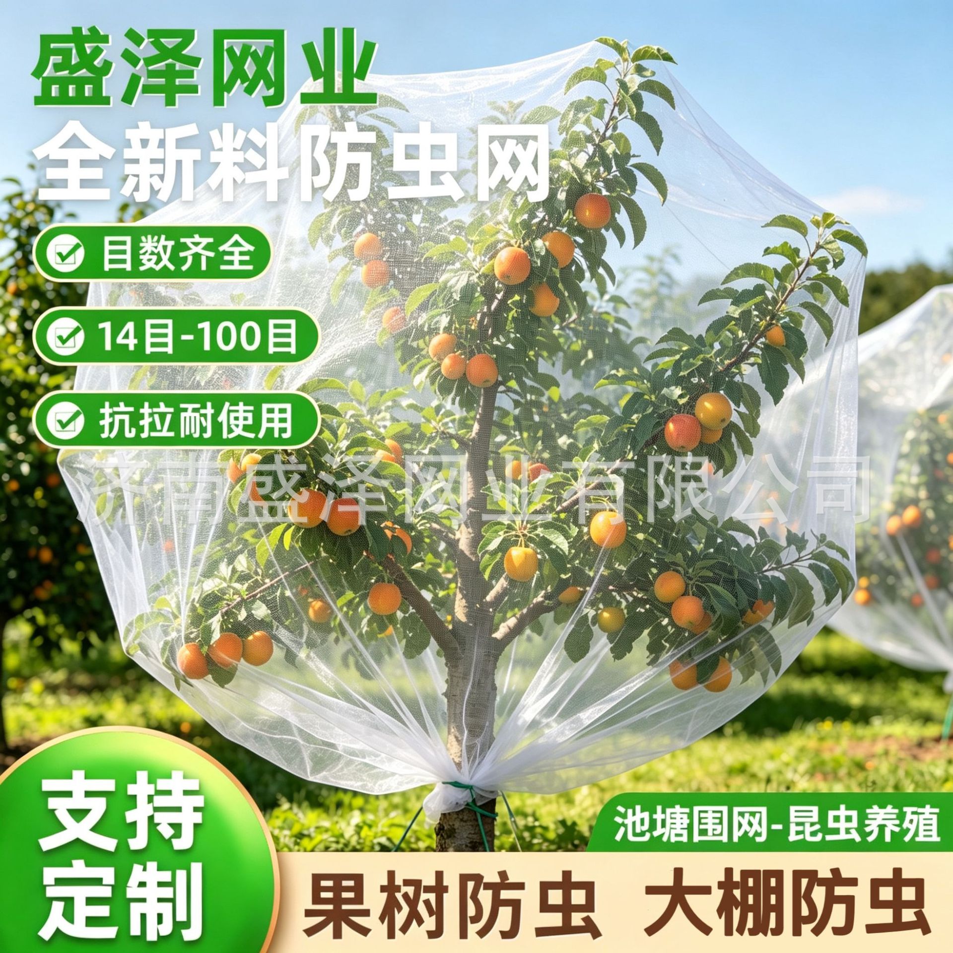 批发40-100目防虫网加厚蔬菜大棚花卉果园树罩拦鸟网小拱棚防虫网
