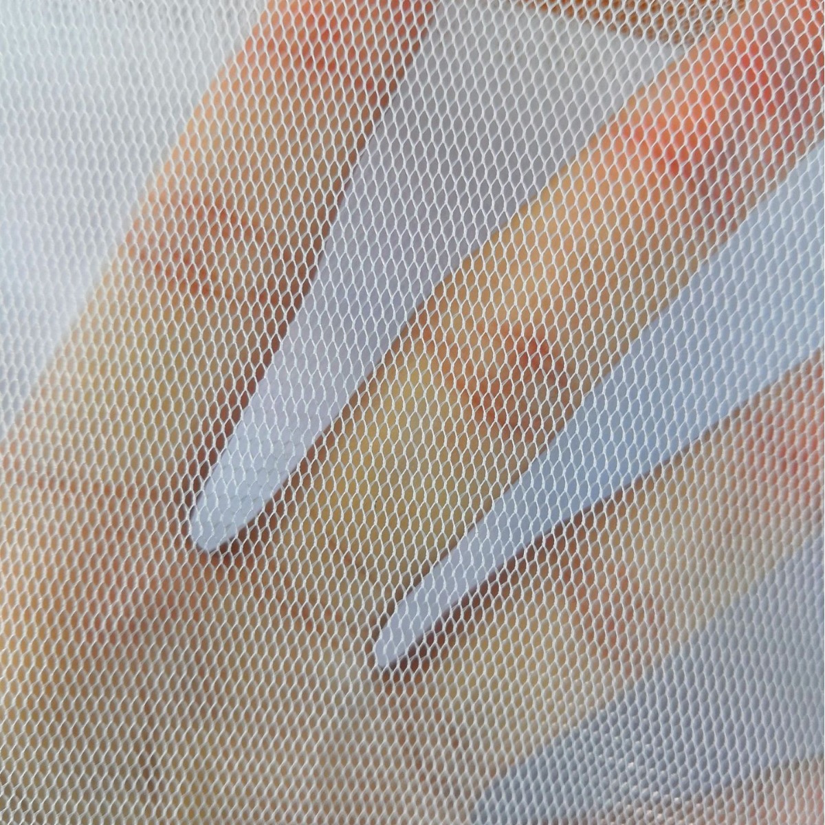 现货  40D网布特白32g