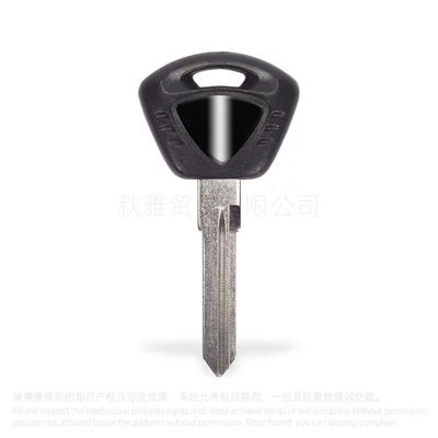 Motorcycle Key frog prince 675 - b-black
