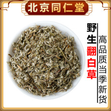 Ұɽ���ײ�500g������Ѫ�жΉ������۽g���{�ع�Ƥ����؛��؛
