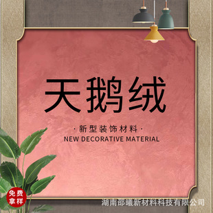 �������Z�q�z�qˇ�g�T��