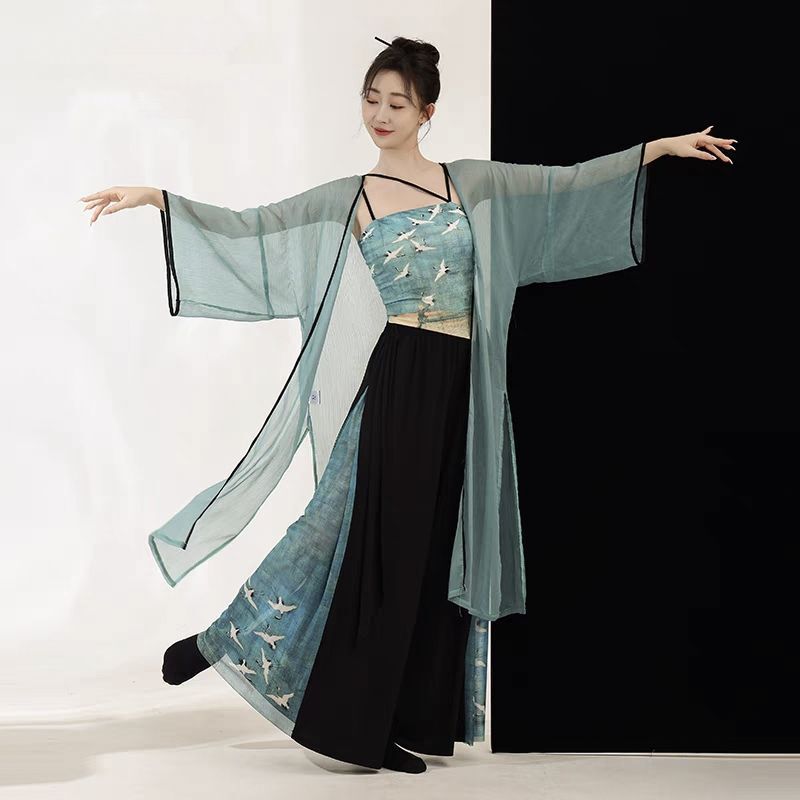新しいスタイルの古典的なダンスの青蛇中国式のふわふわしたガーゼの服のプリントのズボンのスカートの中国風の現代的なダンスの演出の練習服|undefined
