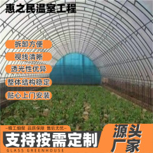畜牧大棚设计安装厂家批发养鸡养鸭养鹅家禽温室大棚养殖