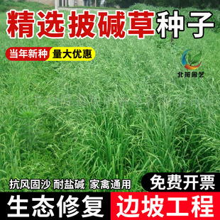 ���|�ݲ����o�¹������Lɳ���������}���|��â����ݱ����|é�N��