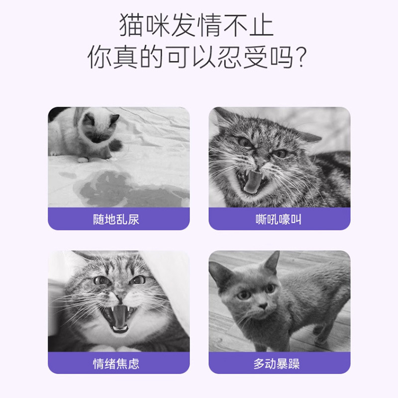 El líquido oral cuentagotas prohibido para gatos inhibe la lujuria, alivia el celo y la ansiedad, se convierte en un suplemento nutricional universal para gatos