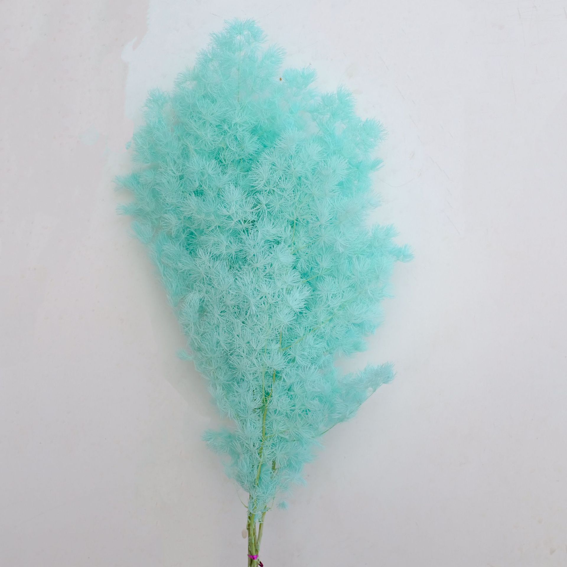 Tiffany blue