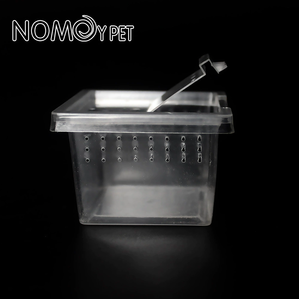 NOMOYPET Nomo коробка для разведения домашних животных, паук, многоножка, хлеб, насекомое, разведение ребенка H1, маленькая квадратная коробка