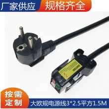 �S�ҹ���ΛρS21 P13 S19  T21 16A�Դ��3*2.5ƽ��1.5M�WҎ�Դ