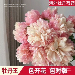 �ذ��M���ļ���ɫ������ș����ͥԺ�̨�^�p�����c�Y�þ���ƽ����