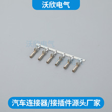 5023073008ԭb|^BӾ3/6/8/12/20оY1Y2Y