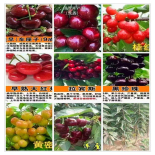�����r�I Ó���������Ҙ��� ���ز� ��ϵ�l�_ ̩�W�ә�����