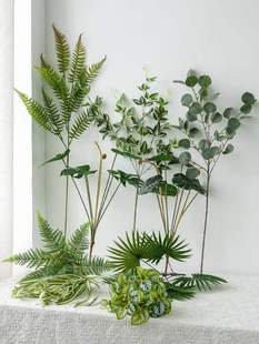 ��֦����diy���������~����Ꭷ�ٻ�ֲ��廨���������쉾����