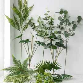 单枝花材diy材料龟背叶子厥类热带假花植物插花把束搭配造垒德株