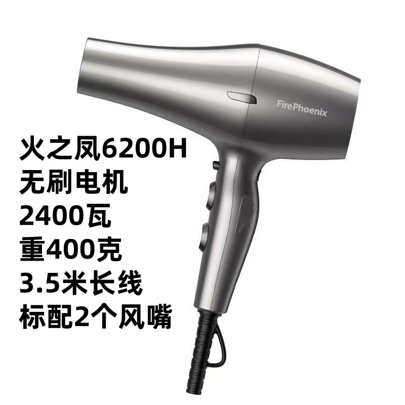 6200H 티타늄 그레이(브러시리스 모터 2400와트)