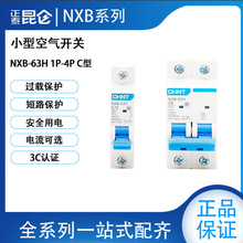 ��̩10KA΢�͔�·�� NXB-63H 1P 2P 3P 4PC��1A-63A NXB-125 10KA
