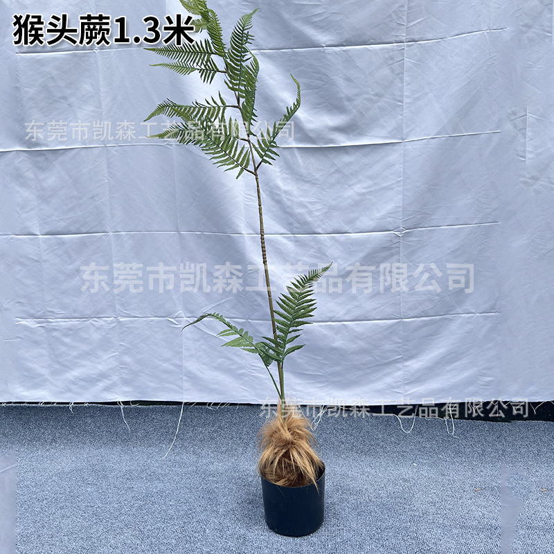 Simulación de alta simulación de plantas falsas en el suelo de plantas de plantas verdes de helechos de cabeza de mono en maceta combinadas de paisaje interior de seda dorada