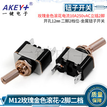 o_P12MMnλ_ õɫ10A250vAC2_