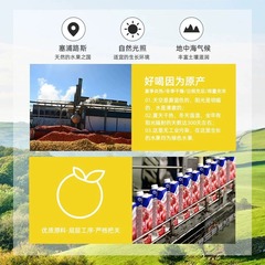 Tropical Fruit Juice, Original Imported 1L Bottle, Fantale, Beverage for Commercial Use in Restaurants, Bars, and Cafes