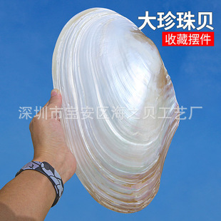 ��Ȼ�����������ؐ���Ĕz���ߺ����~���쾰�b[�����P�ͱP���l